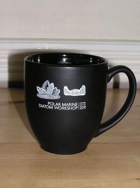 2011 Sydney mug