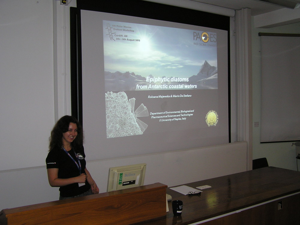 2013 Ecology presentation