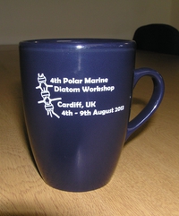 2013 Cardiff mug