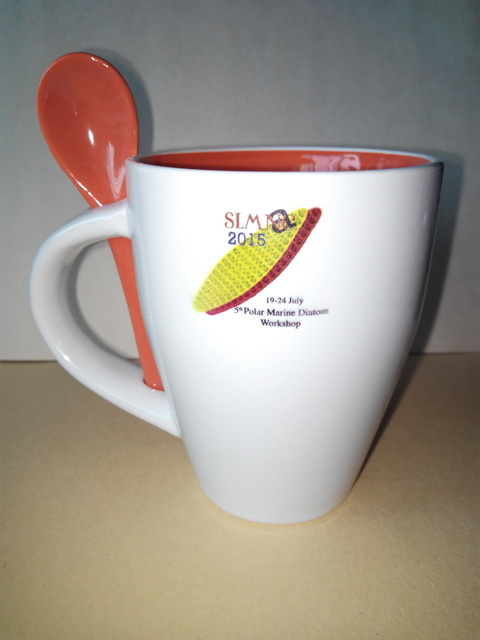 2015 Salamanca mug